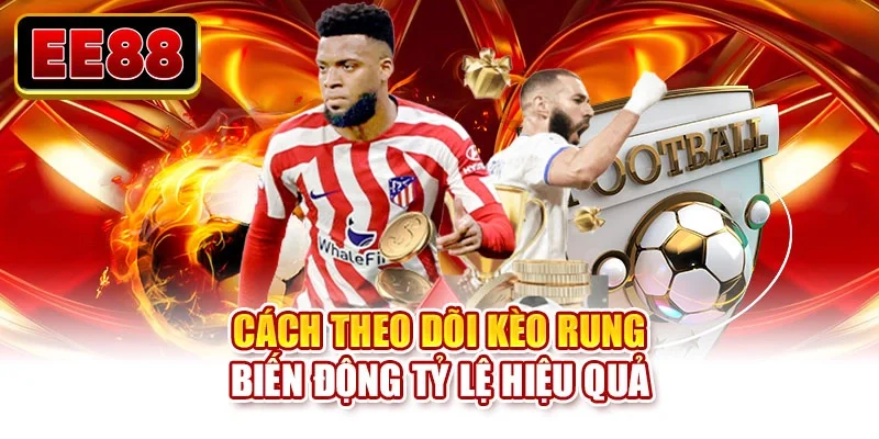 Cách theo dõi kèo rung biến động tỷ lệ hiệu quả