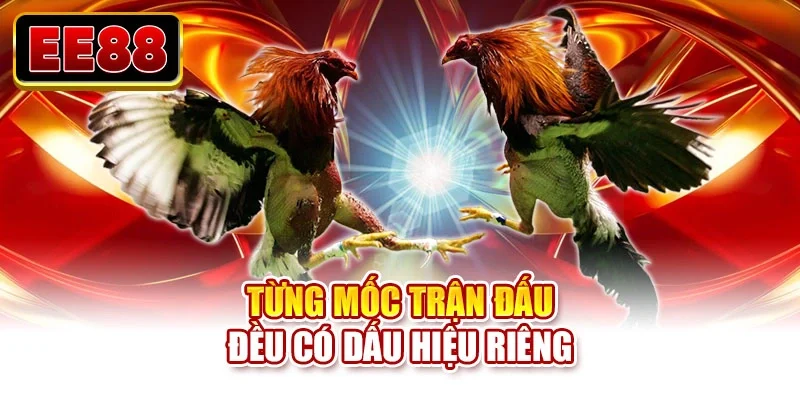 Từng mốc trận đấu đều có dấu hiệu riêng