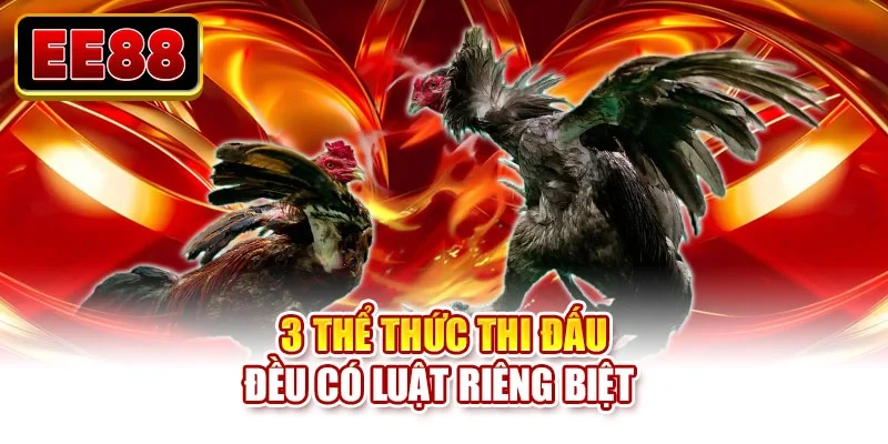 3 thể thức thi đấu đều có luật riêng biệt 