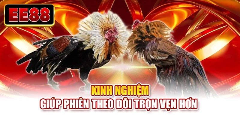 Kinh nghiệm giúp phiên theo dõi trọn vẹn hơn 