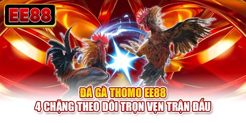 Đá gà Thomo